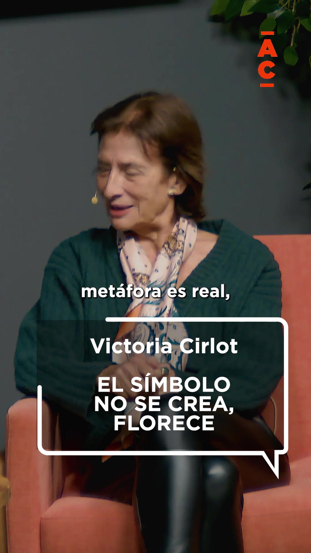 @Ámbito Cultural
