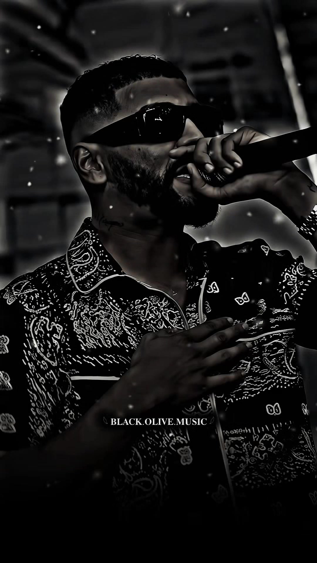 @๐ชฌ | Black Olive Music