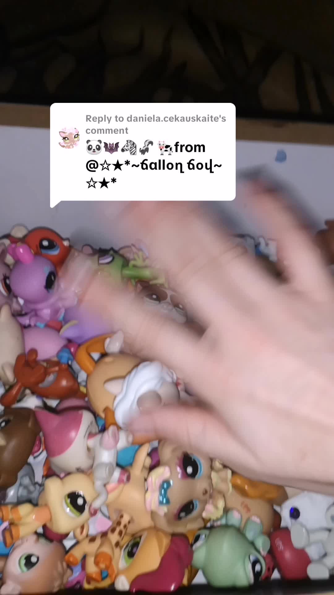 @Lps collecter🌺
