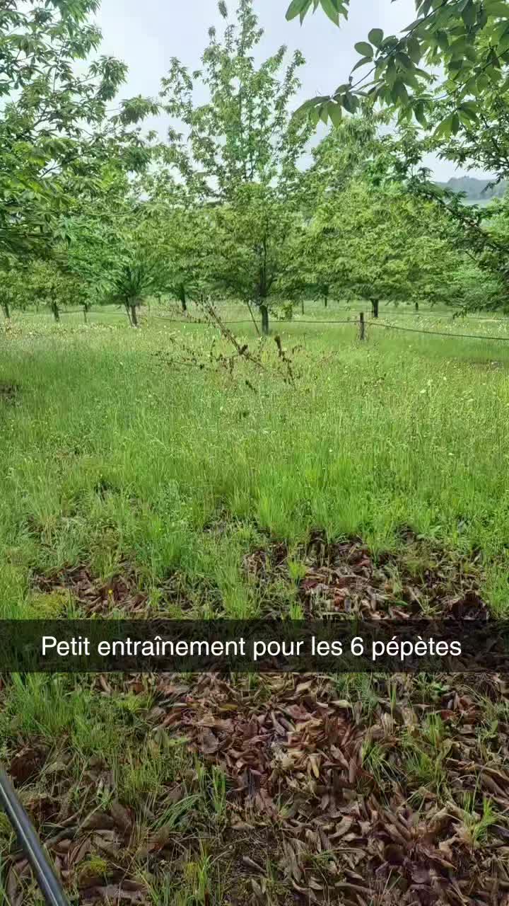 @lousan 24