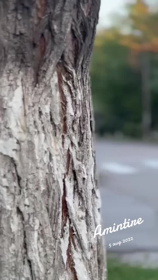 @Mădălin Niță