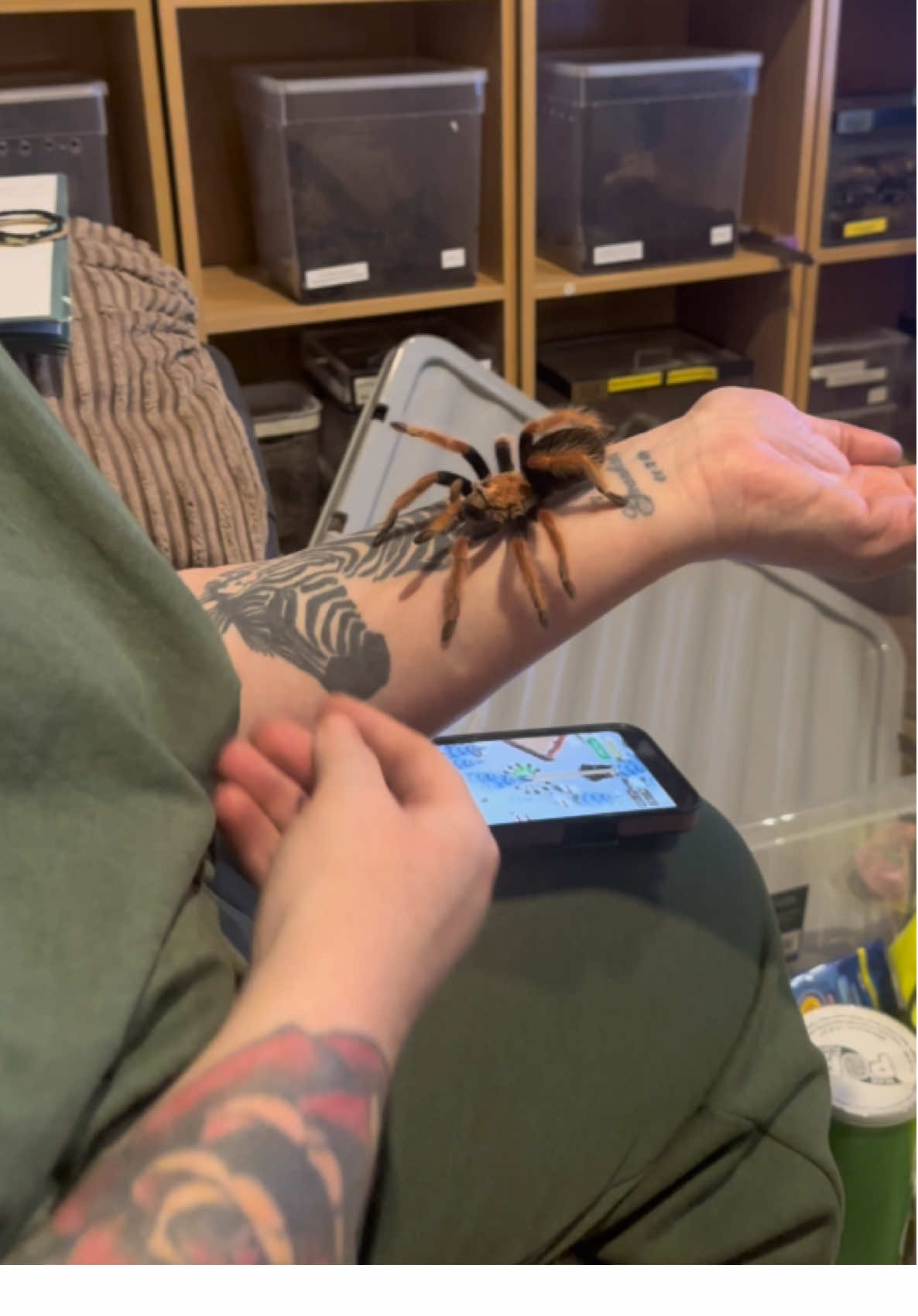 @The Spider Caravan