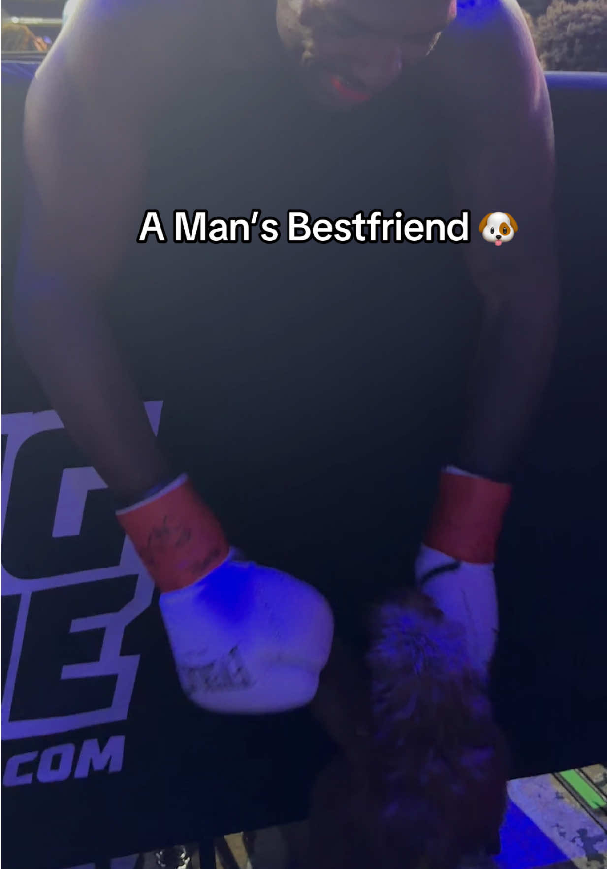 @TheWooFamily