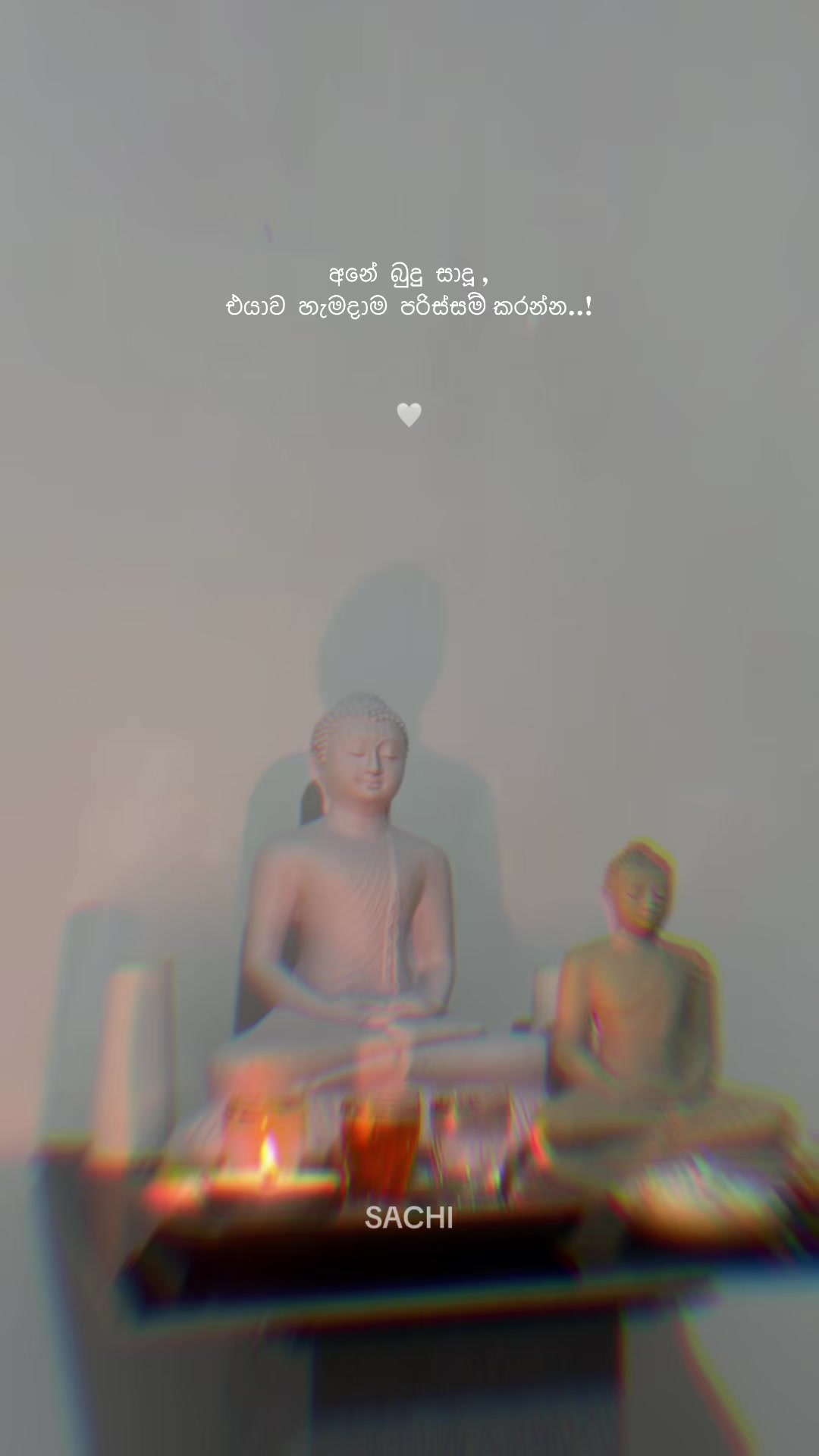@𝙈𝙍 . 𝙎𝘼𝘾𝙃𝙄 :◉༒◉