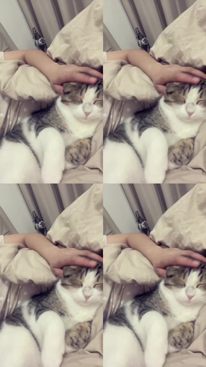 @๐ฉทโโAii Kooh@15โโ๐ฉท