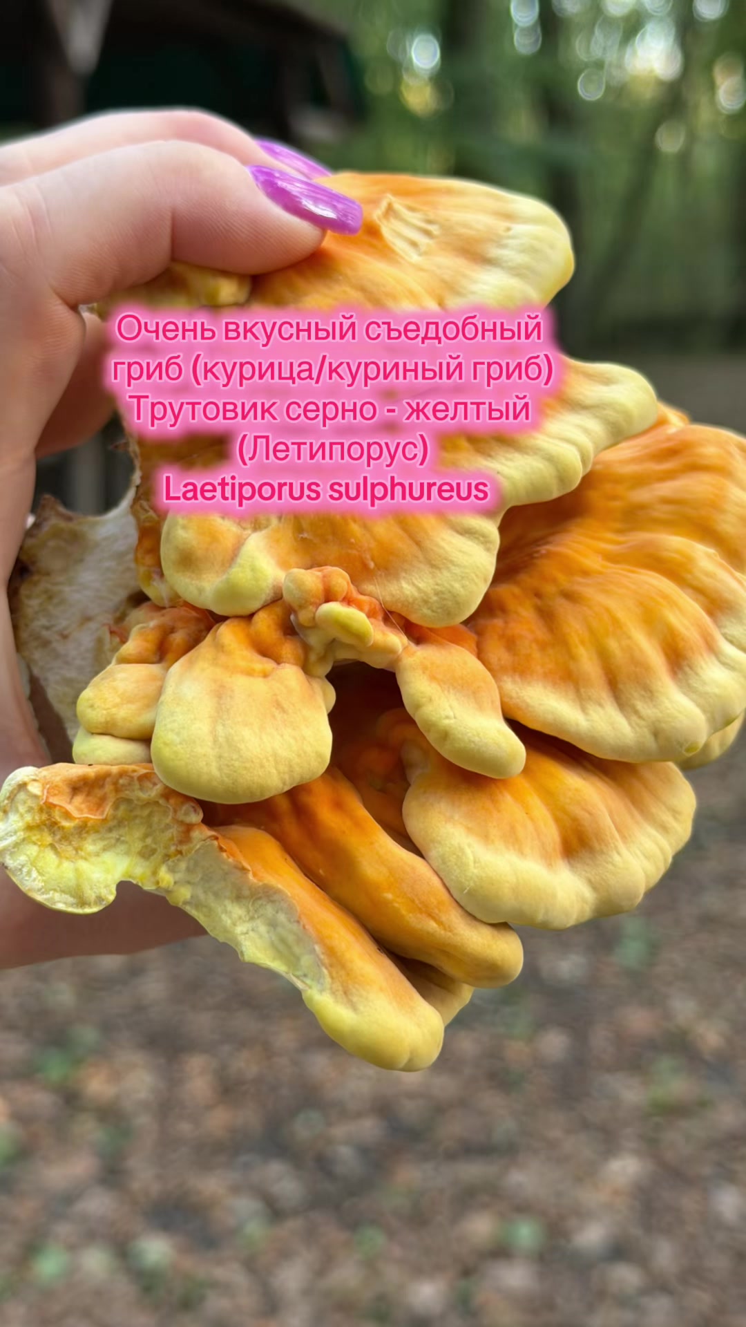@𝒱𝒶𝓁ℯ𝓇𝒾𝒶 𝒪𝓇ℯ𝓁 ☘︎☼☯︎➶︎