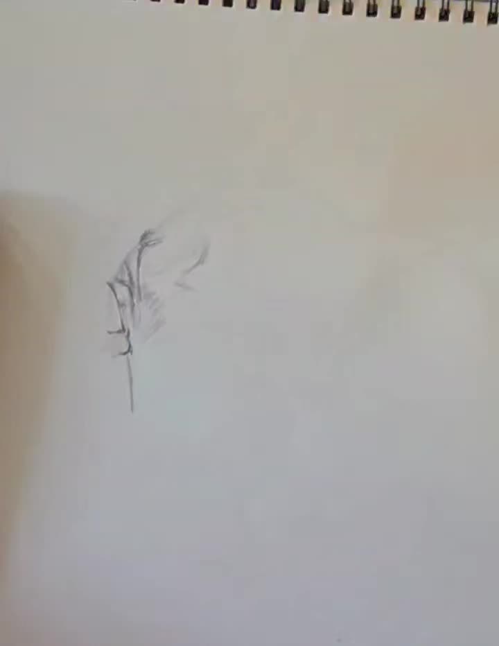 @Cynsaysional Art (Sensational)
