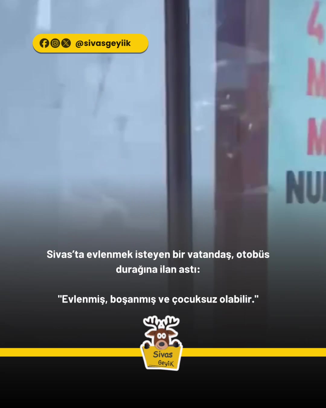 @Muğla Geyik