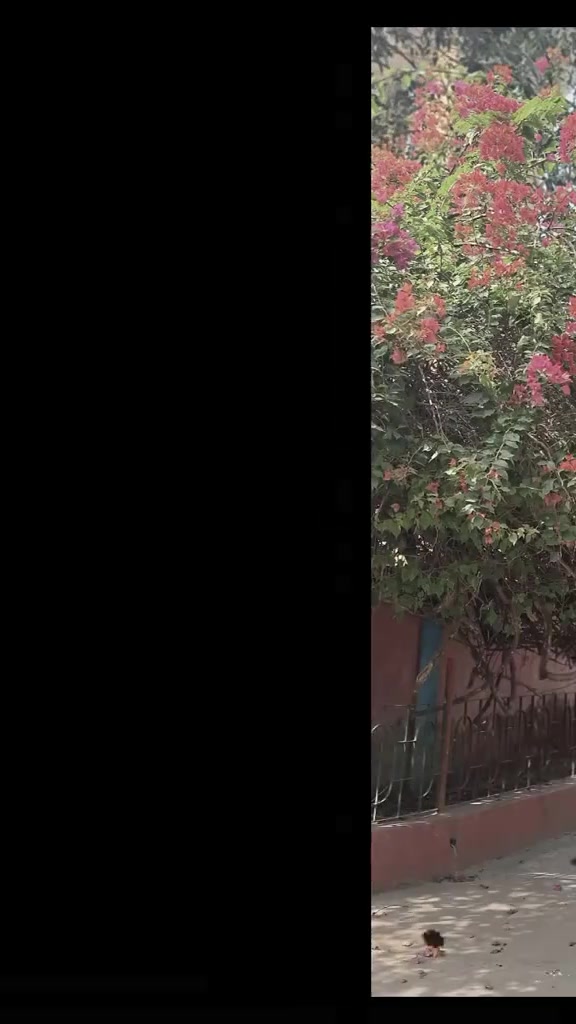 @ডিপ্রেশন 🥹😅😅😅😅😅😅😅😅