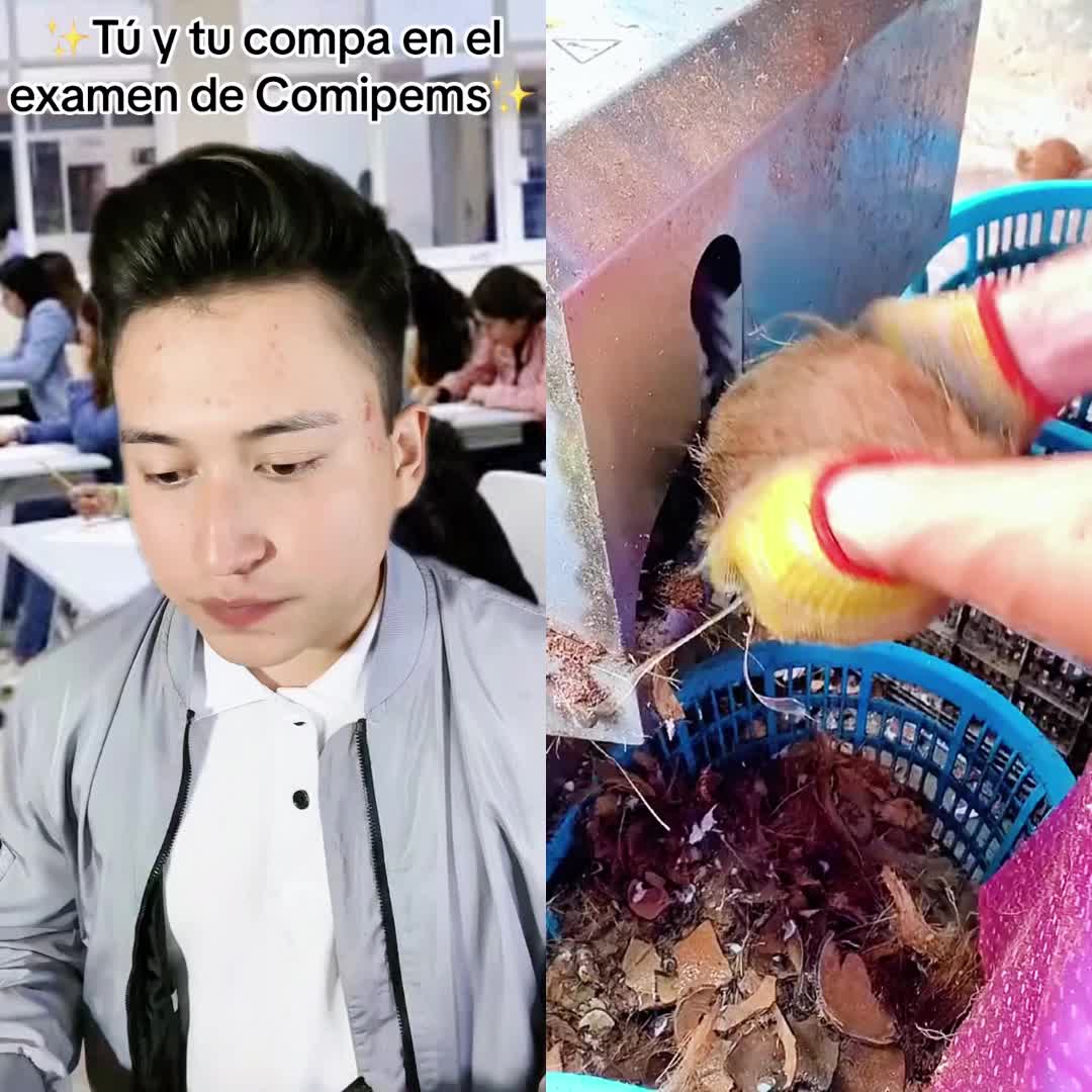 @rke3ouewt4