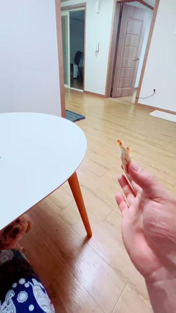 @𝙴𝚟𝚐𝚎𝚗𝚒𝚢 𝙳𝚘𝚗🐾