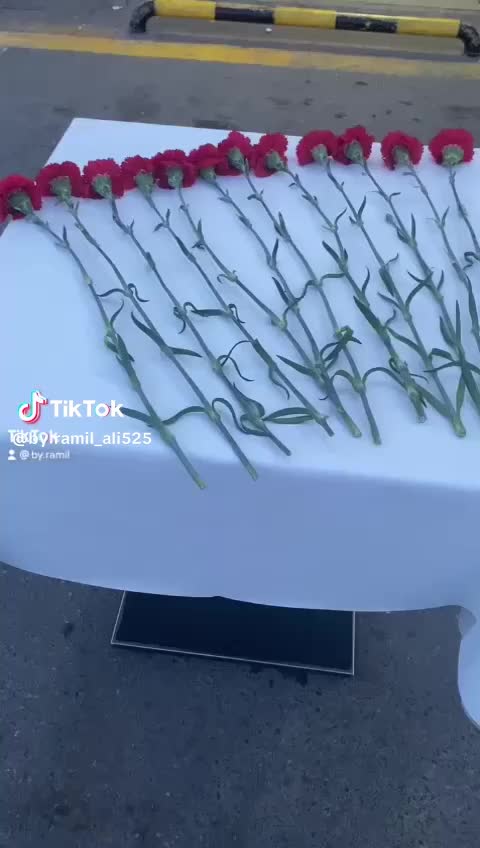 @ŞEHİD KAMİLİN ANASI