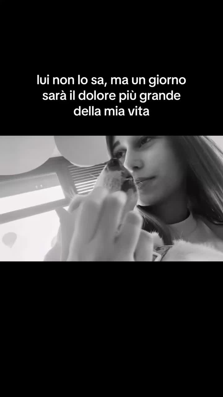 @𝐟𝐫𝐚𝐧𝐜𝐞𝐬𝐜𝐚