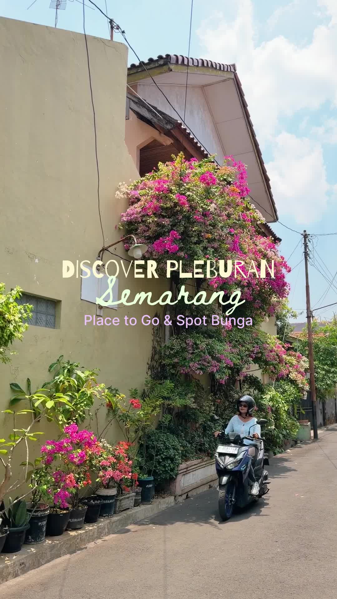 @Sowan Suwun