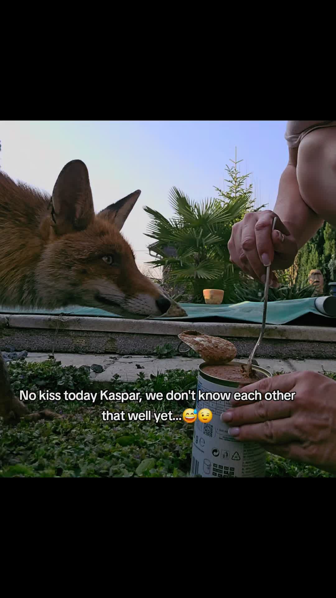 @🦊Welcome to Foxtown🦊