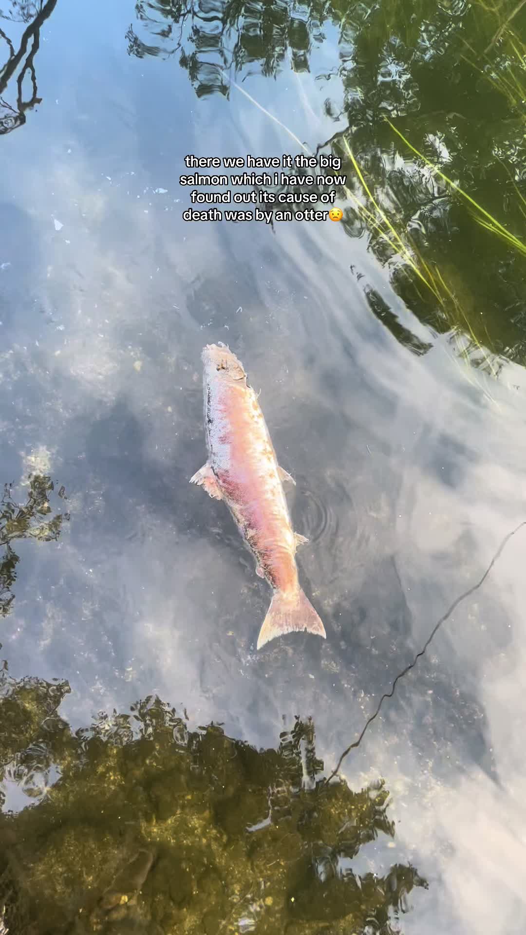 @kh.angling