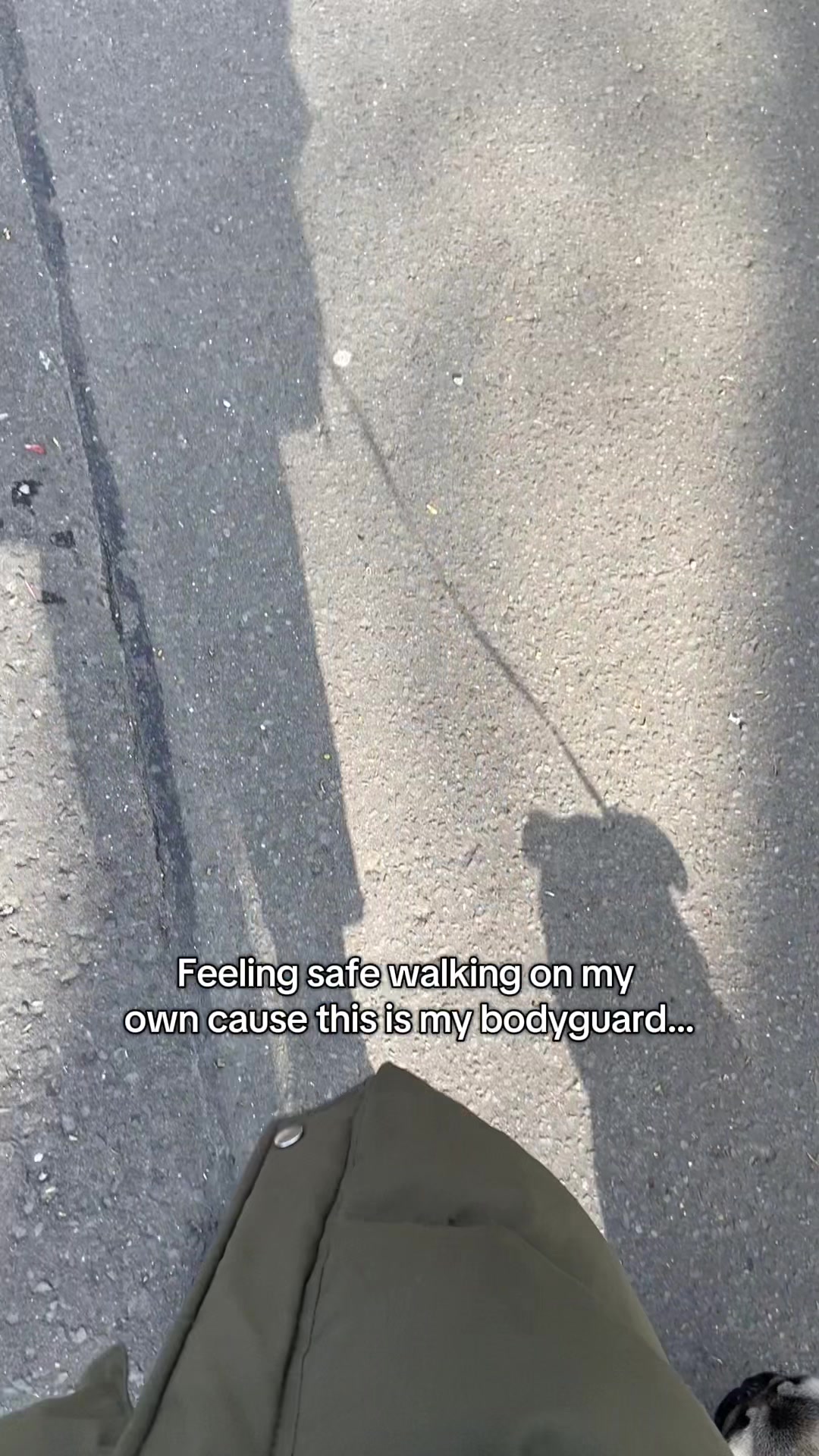 @Wee Winston The Pug