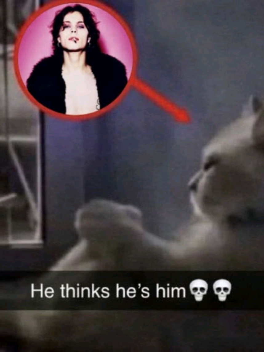 @ִֶָ ࣪ ִֶָ 𝓜𝓲𝓶𝓲🐇ִֶָ࿐