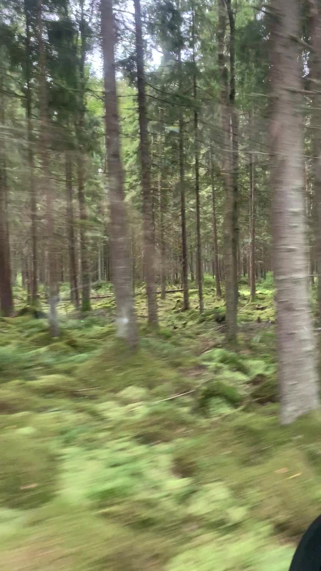 @Osama 🇸🇪