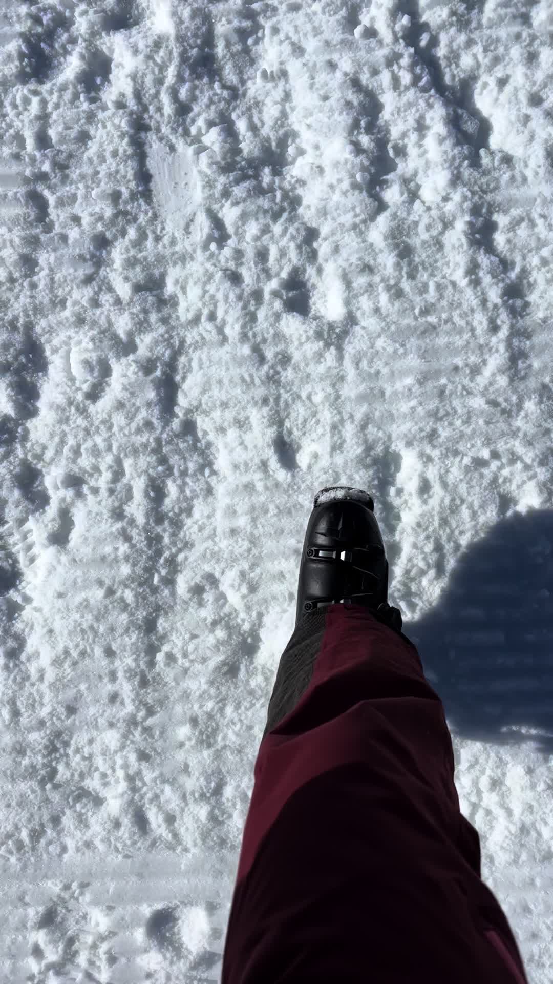 @svoalpin