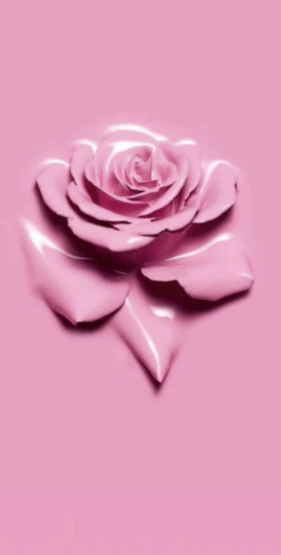 @Vivian De La Rosa