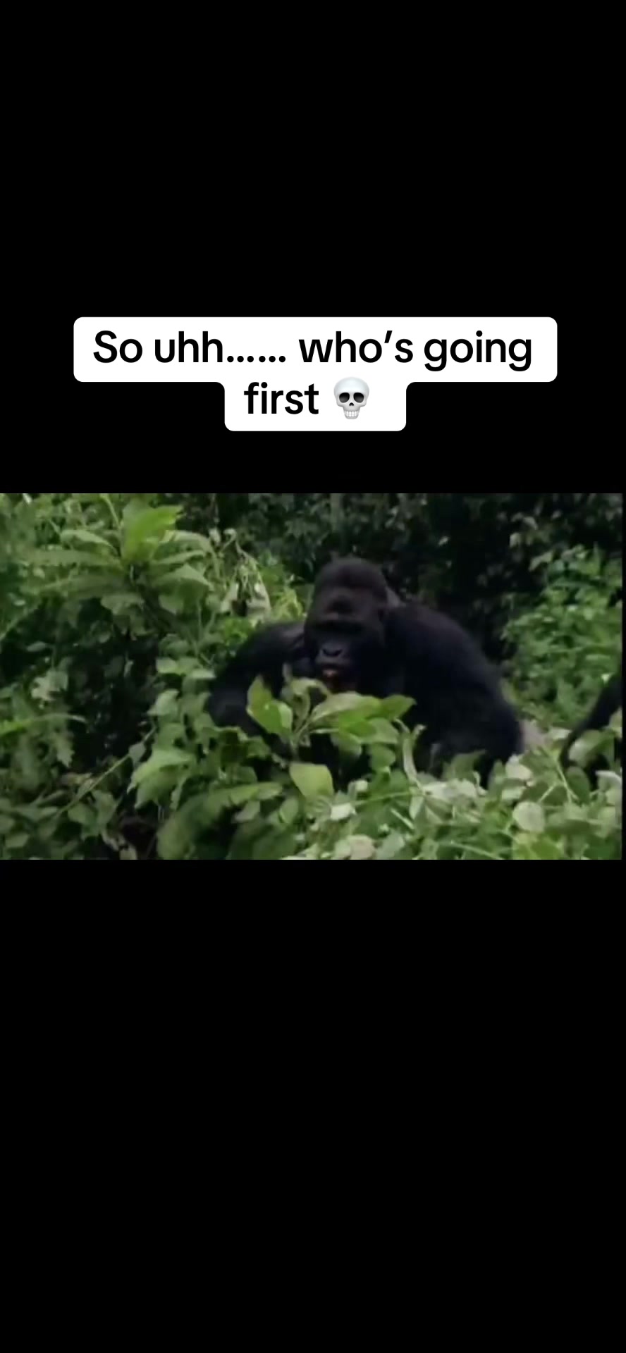 @FUT