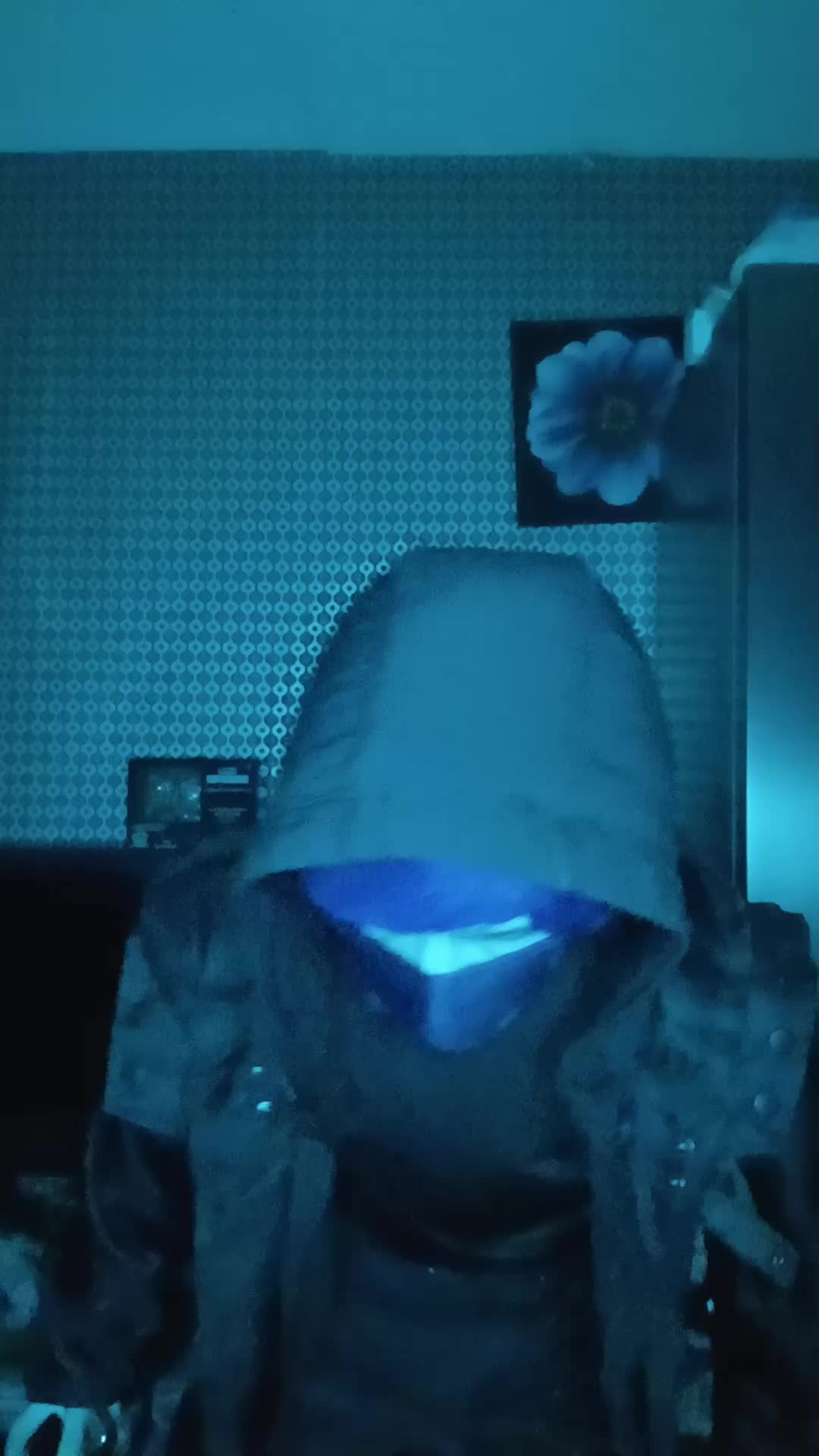 @vox/Alastorcosplay12345