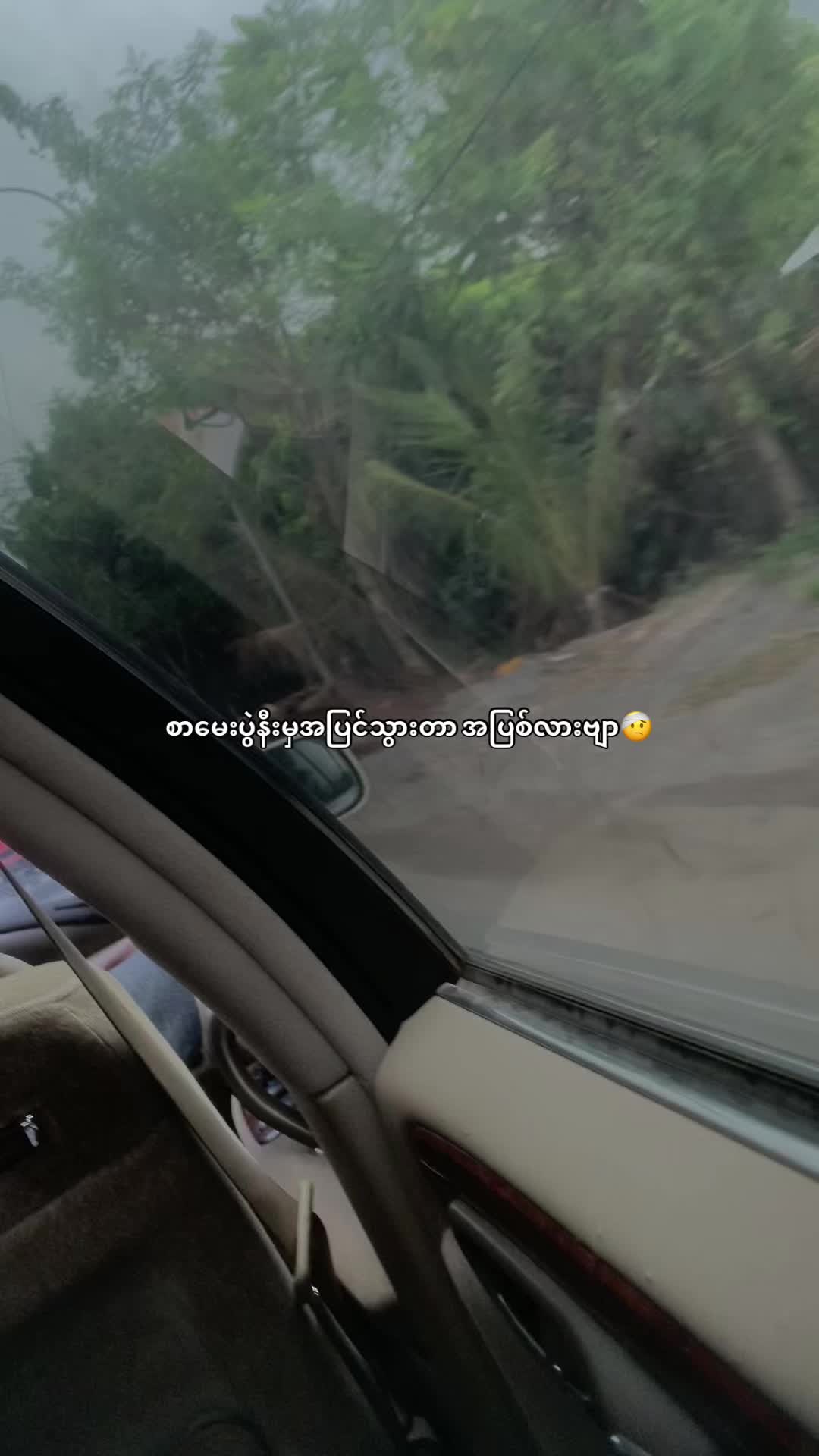@ᴡɪʟʟᴏᴡ_ʙʀᴏᴏᴋʟʏɴ