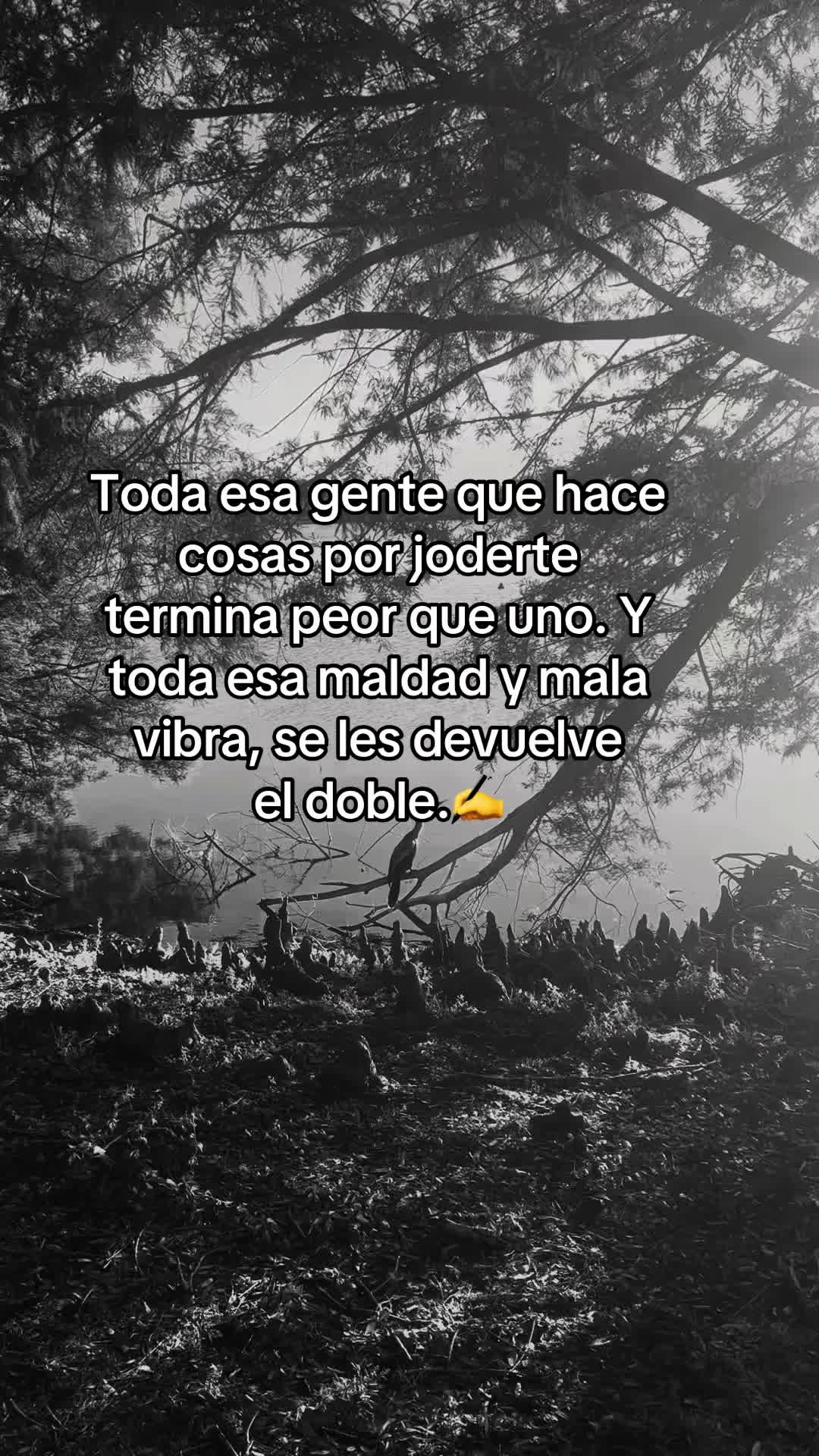 @Sol☀️ frases🥀