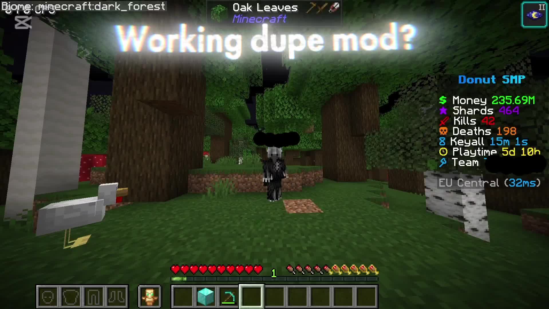 @Donut Smp Dupe in bio