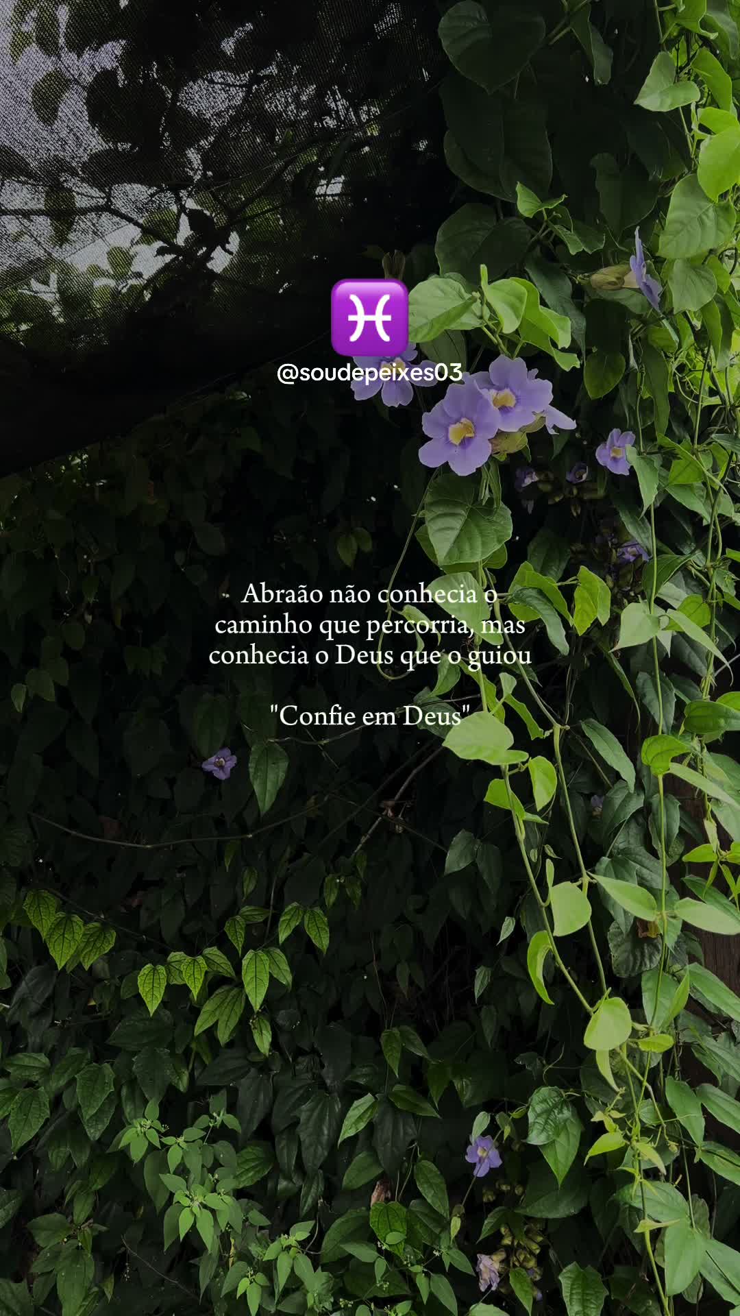 @soudepeixes