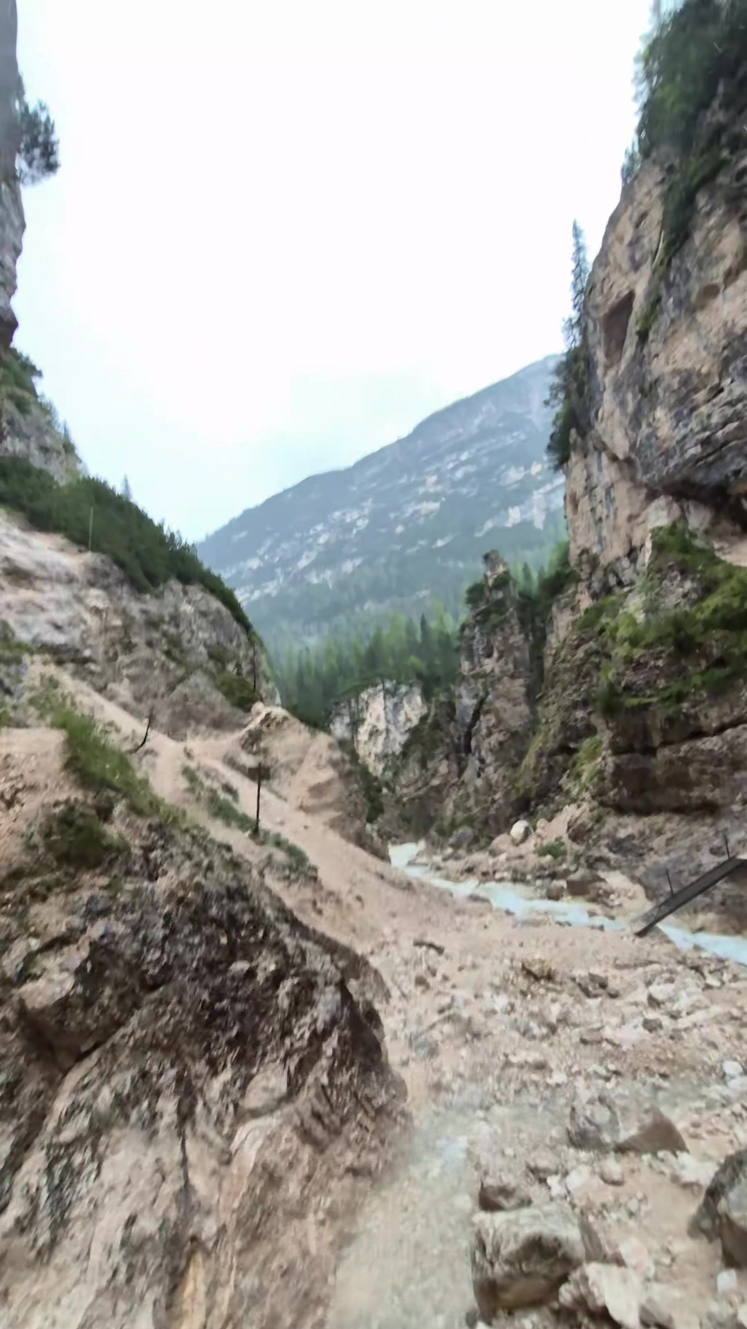 @Fin | Wild Camping & Hiking ๐