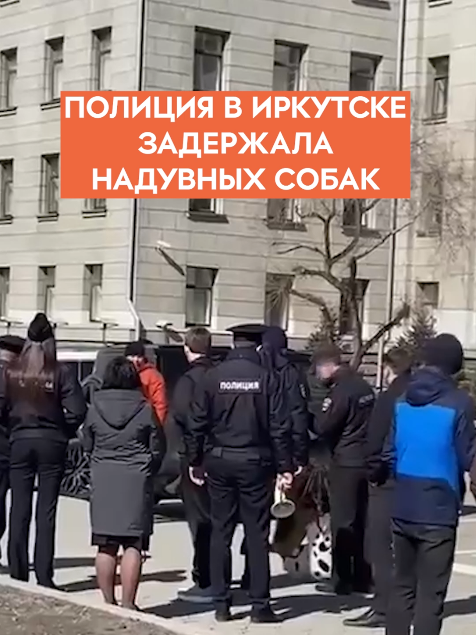 @Горизонтальная Россия@