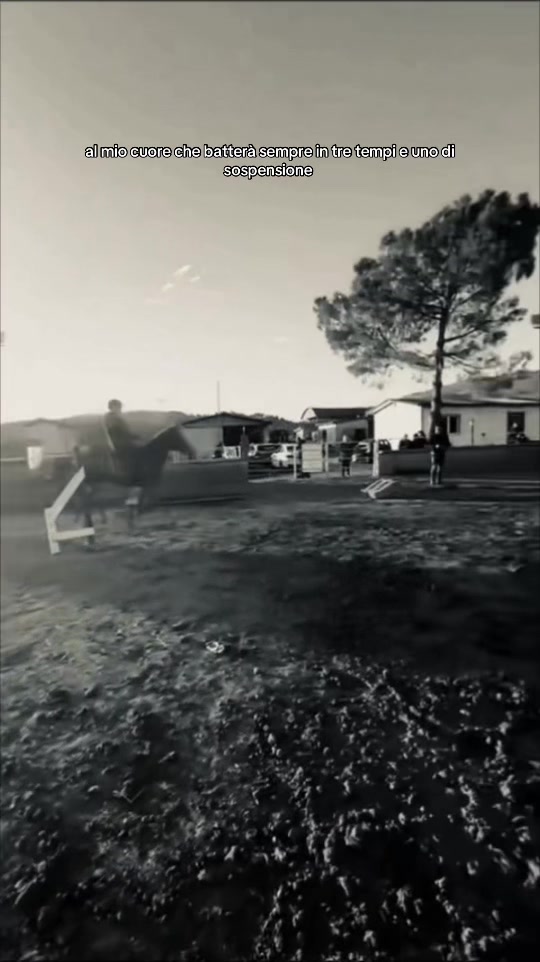 @7