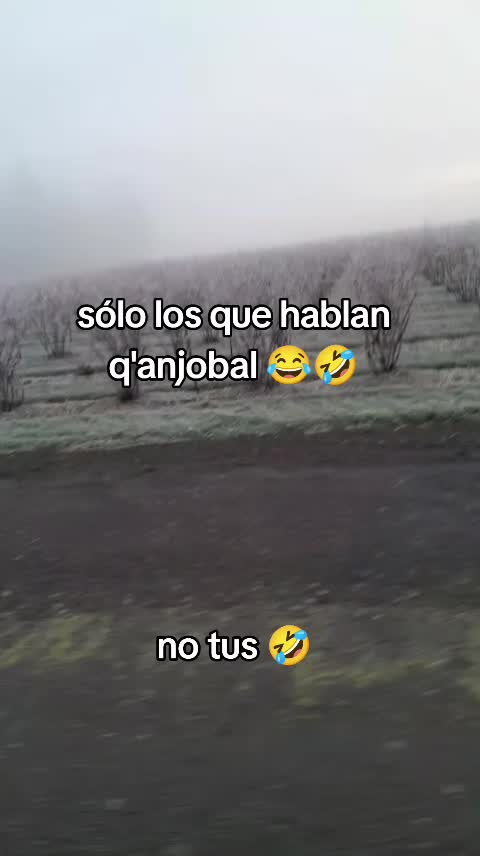 @el🐼CHACALITO 🐼🎹👑🫰🇬🇹🇺🇸