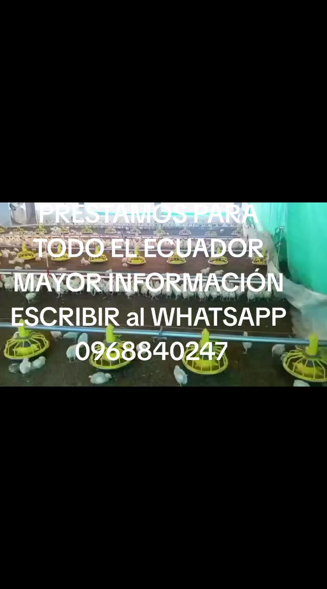 @prestamos cuenca cia ltda