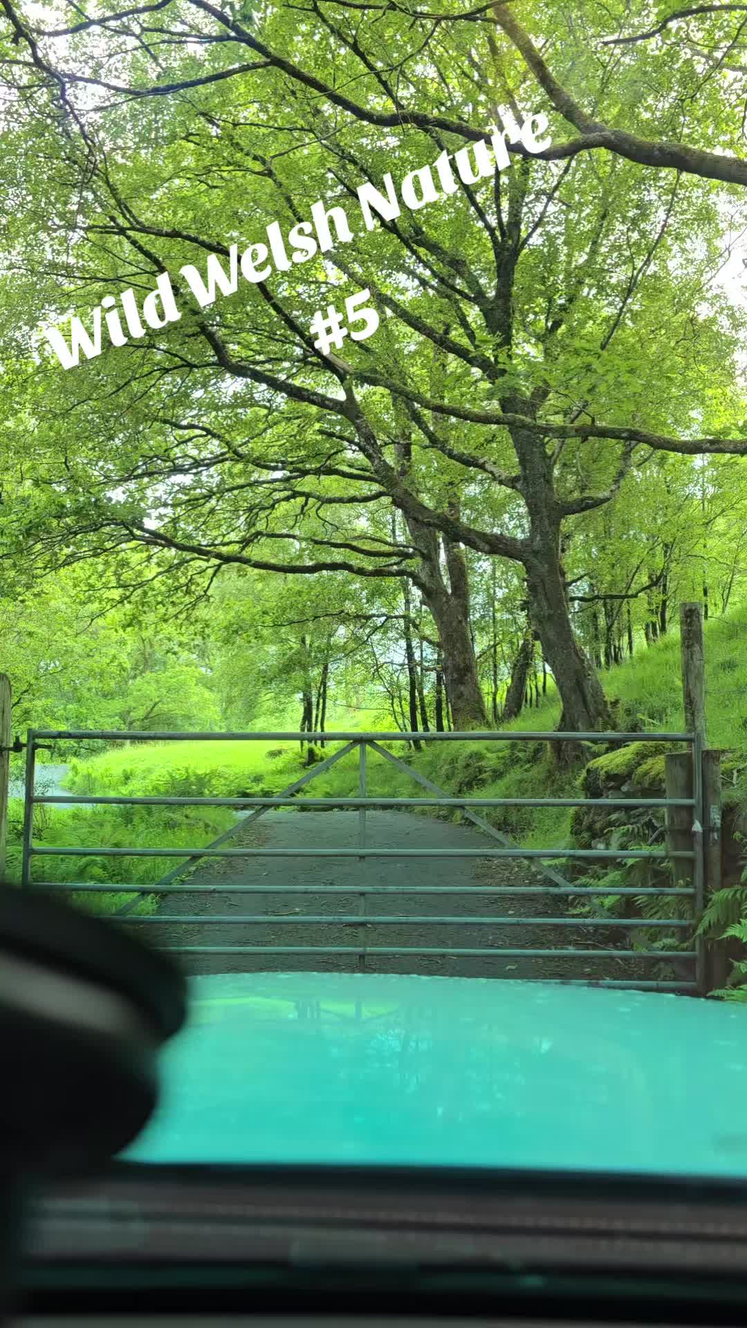 @mariuszmwm