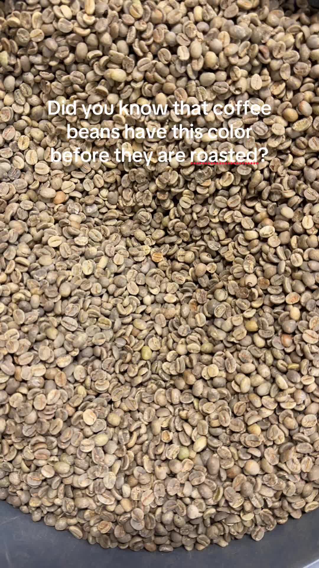 @Cafedujour
