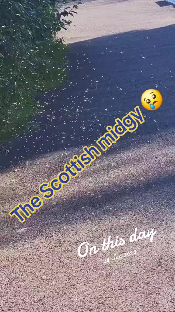 @Scotland calling 📞