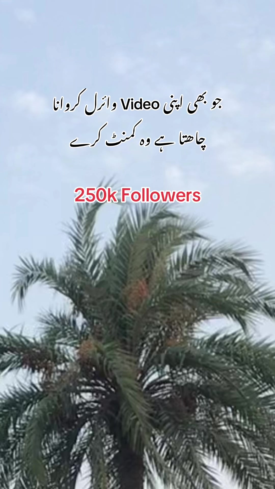 @Amjad Khan 460