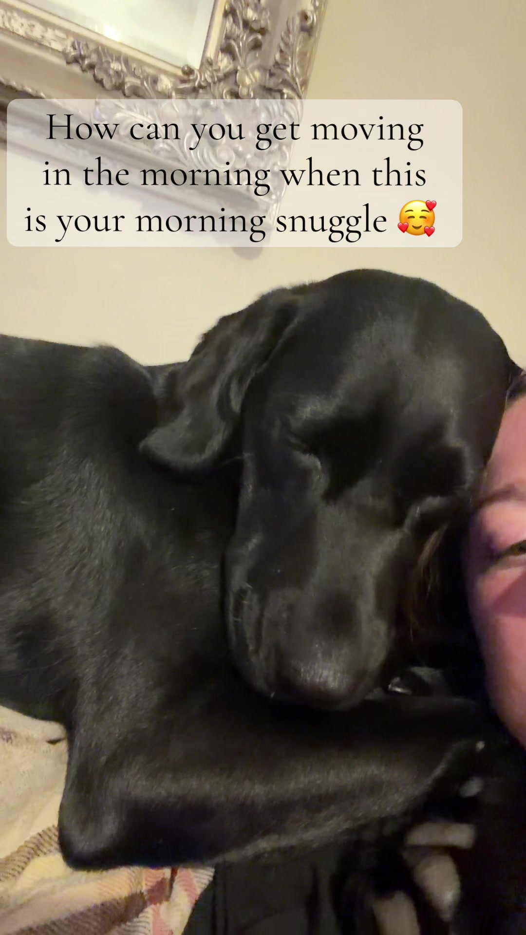 @Penny 🧡 Luna