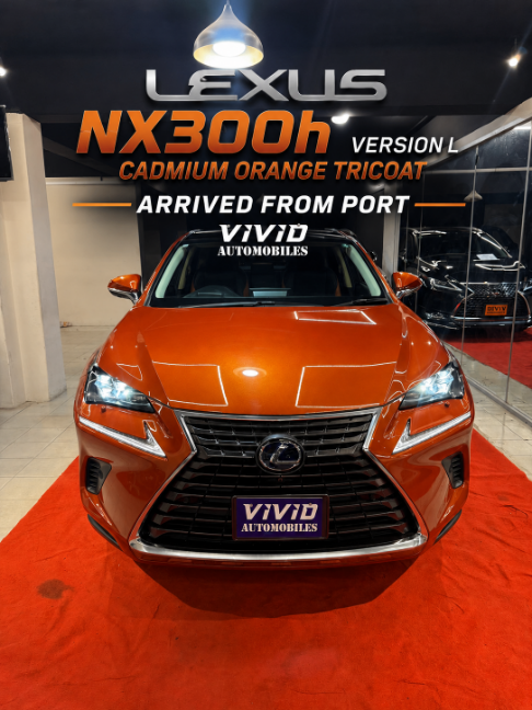 @Vivid_Automobiles