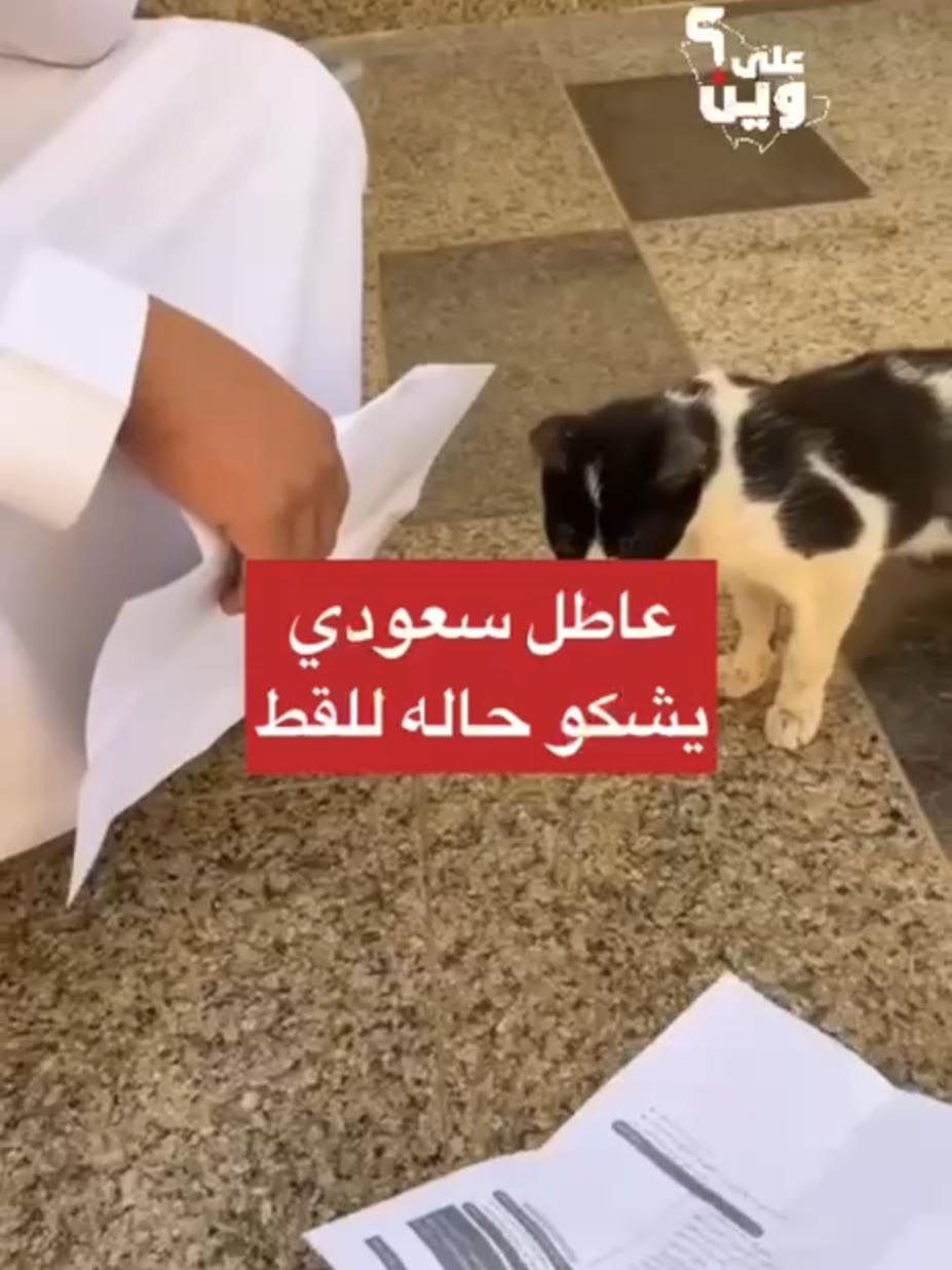 @بلادنا على وين