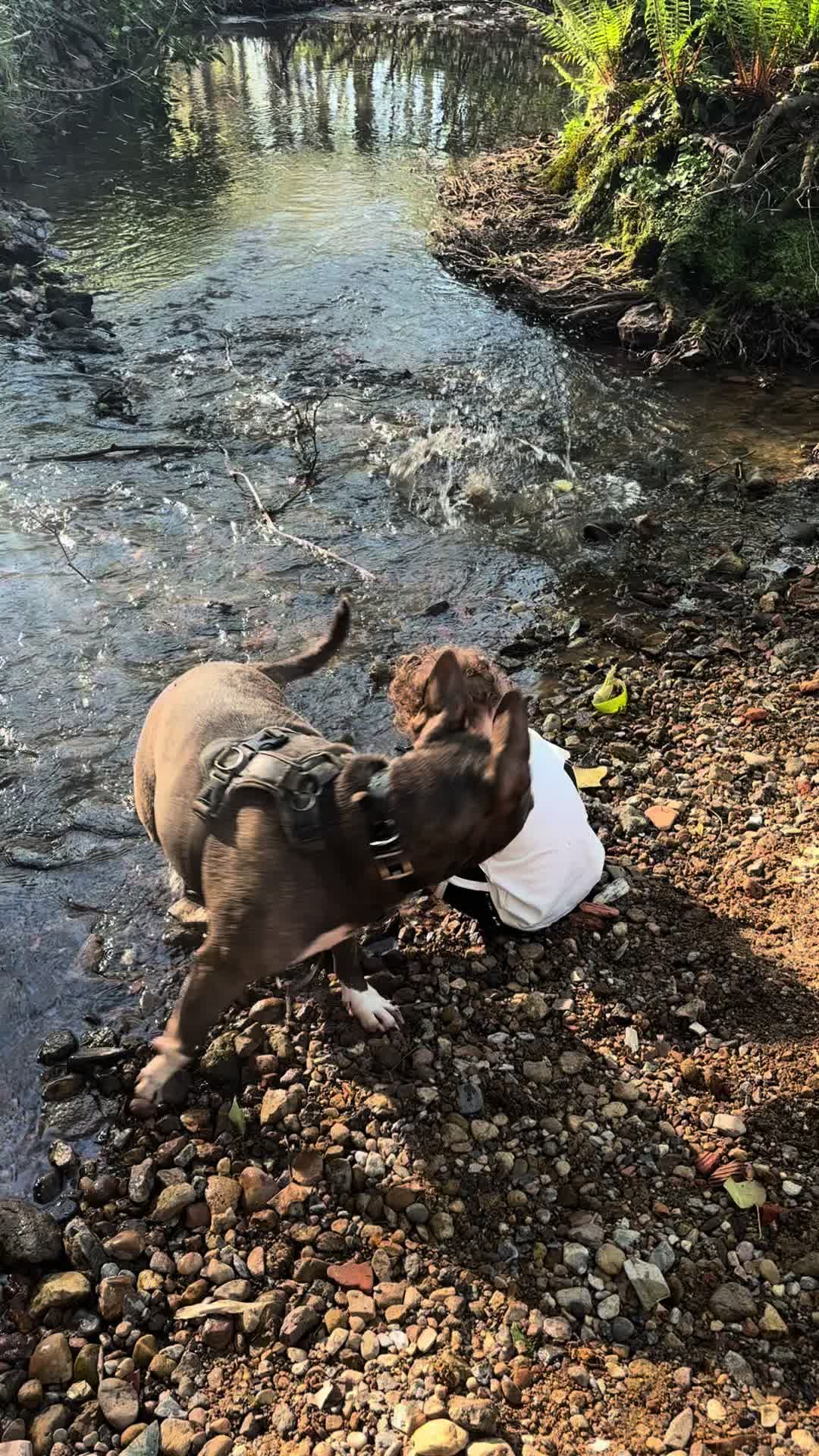 @Mami de Nala & Sofía
