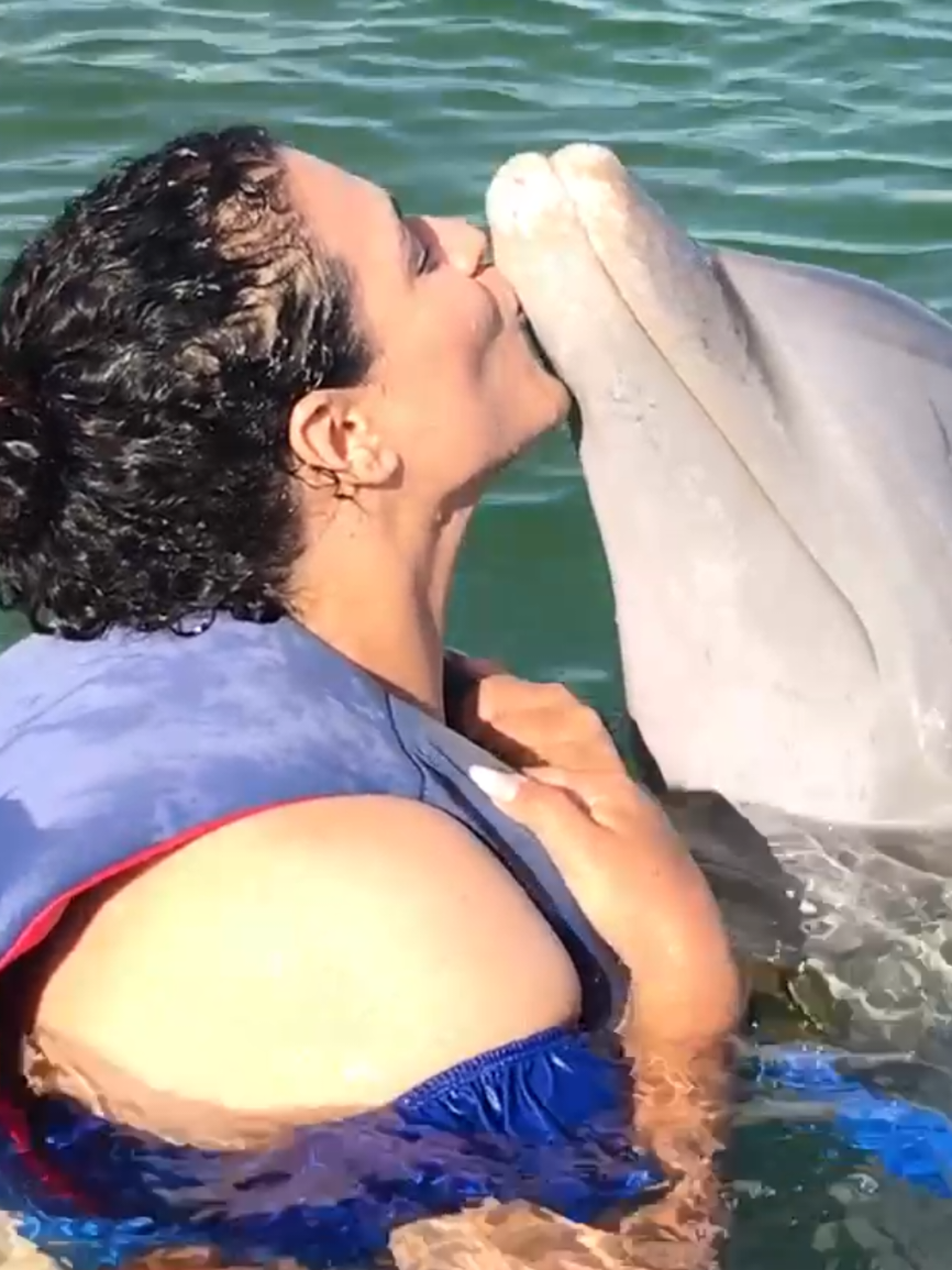 @LICEIDY