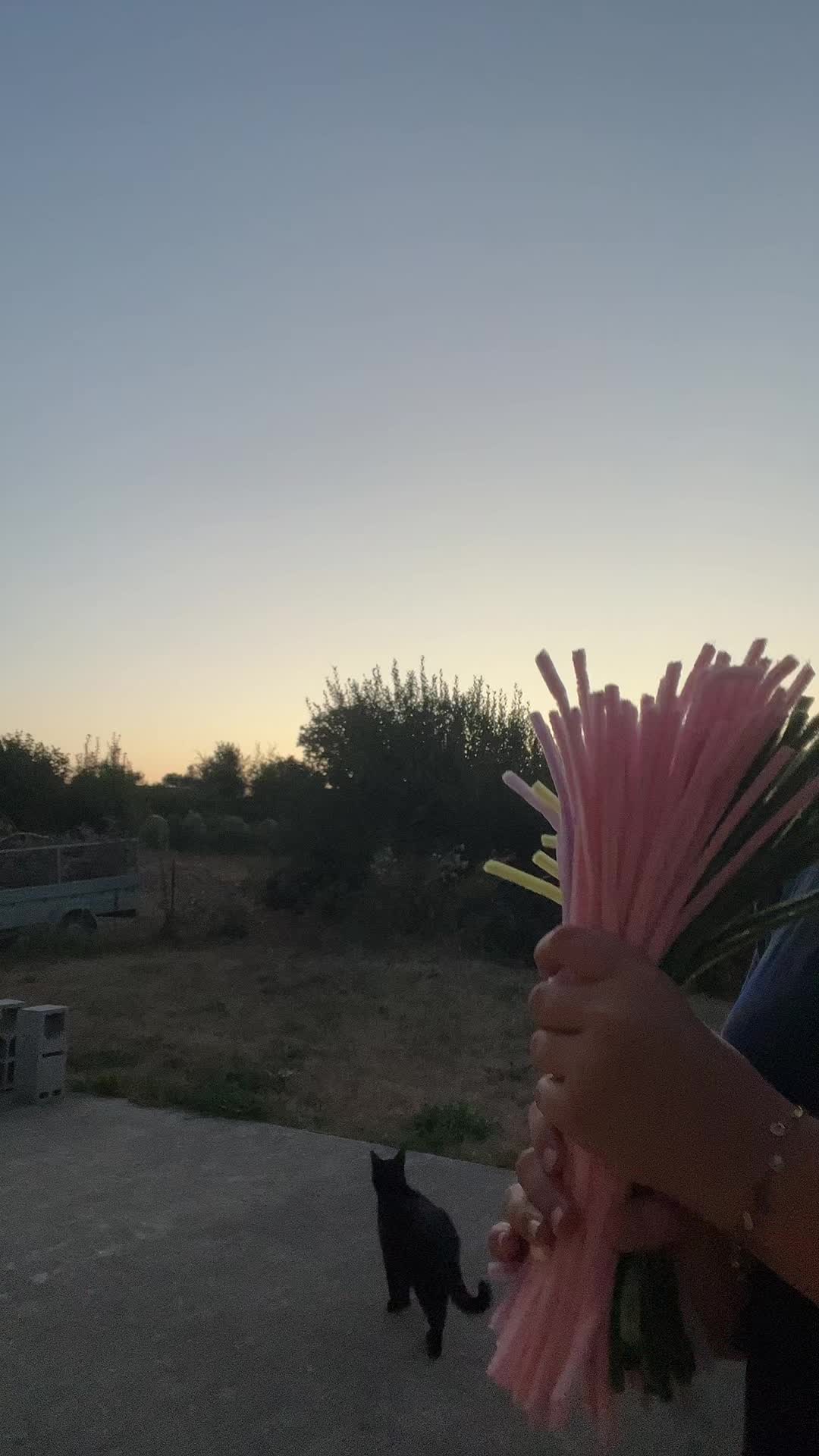 @Maiwenn🌸🌷