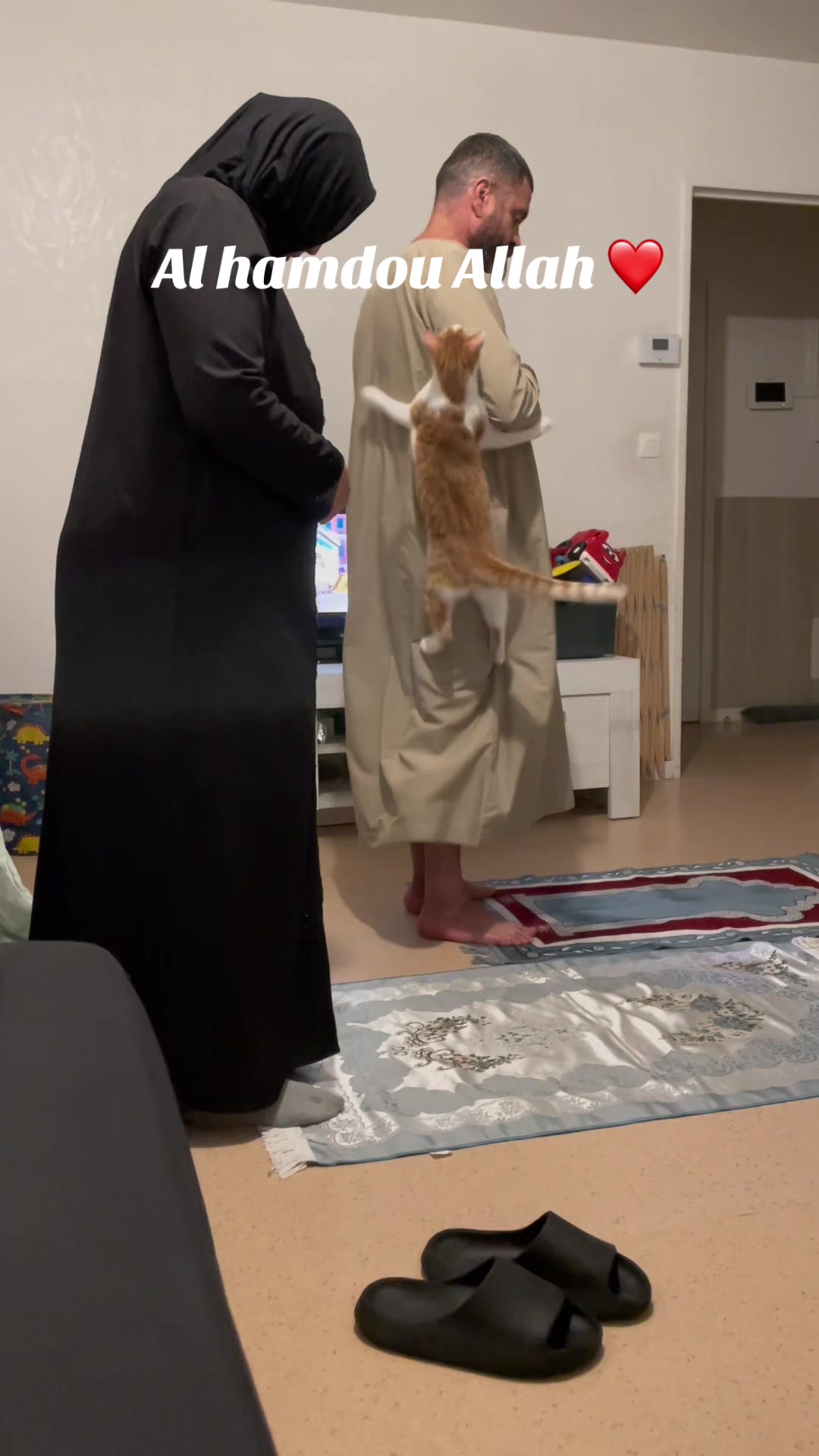 @flasher et simba