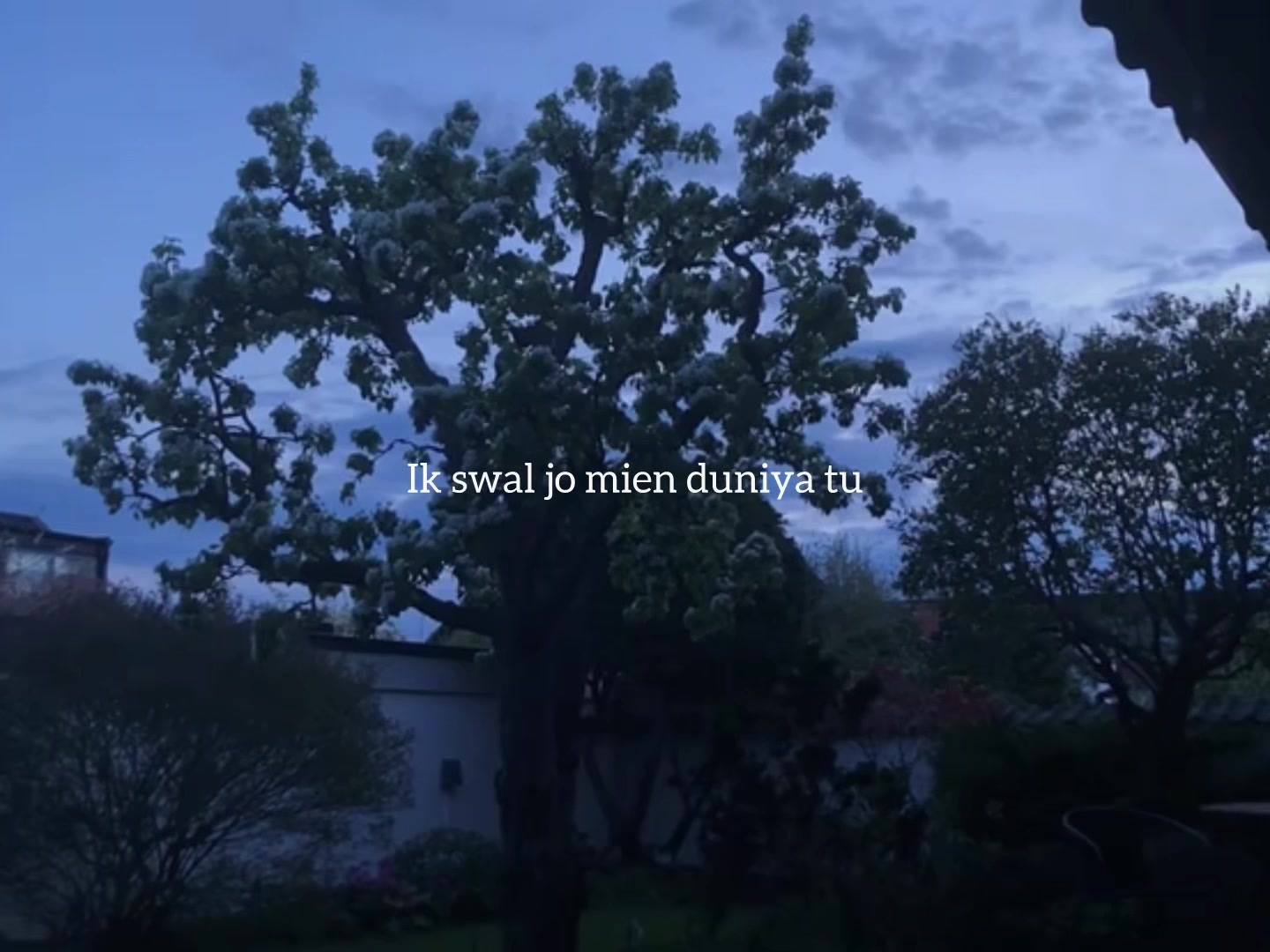 @ʟᴏꜰɪ ᴅʀᴇᴀᴍꜱ