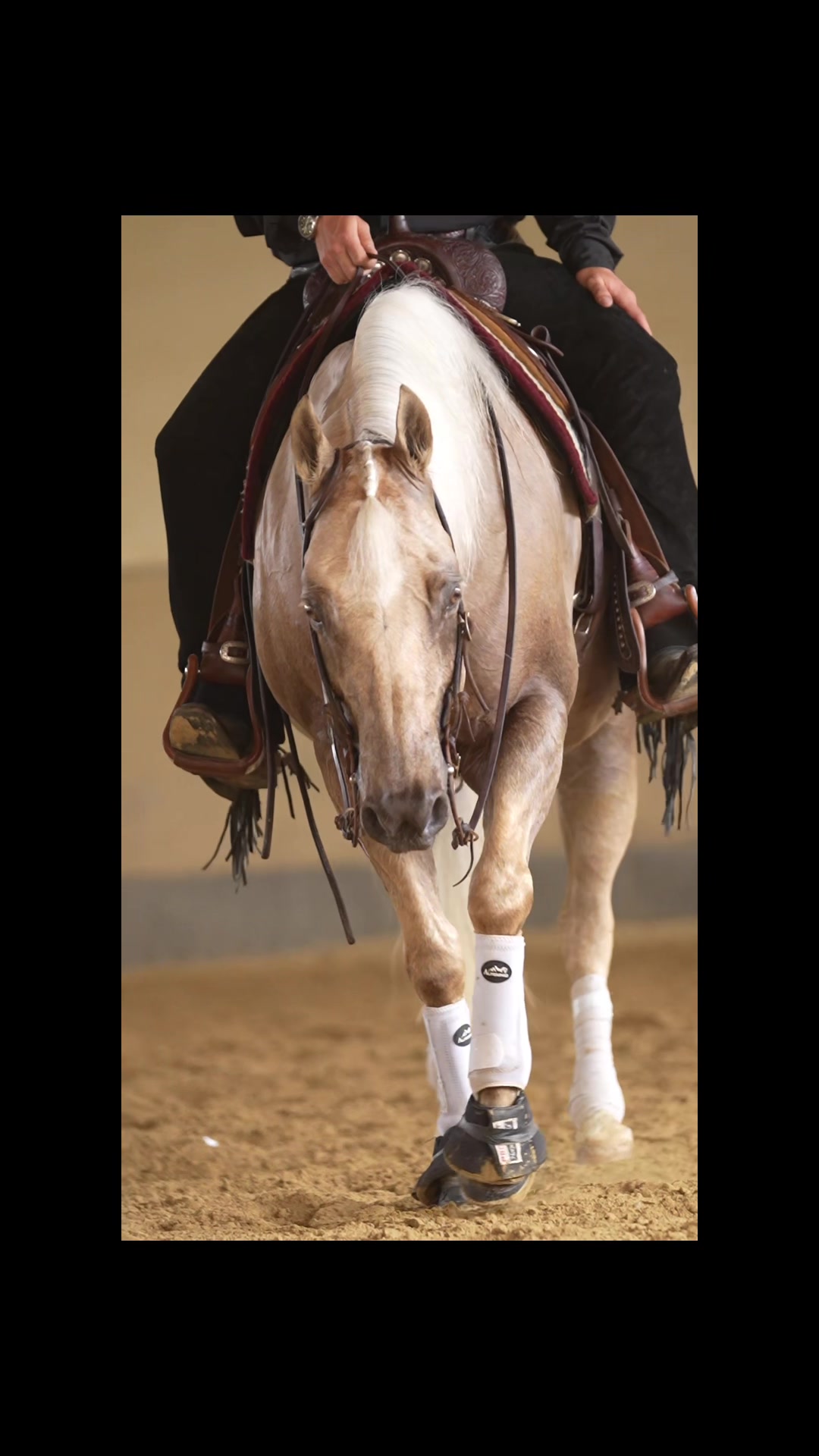 @Nebel Performance Horses