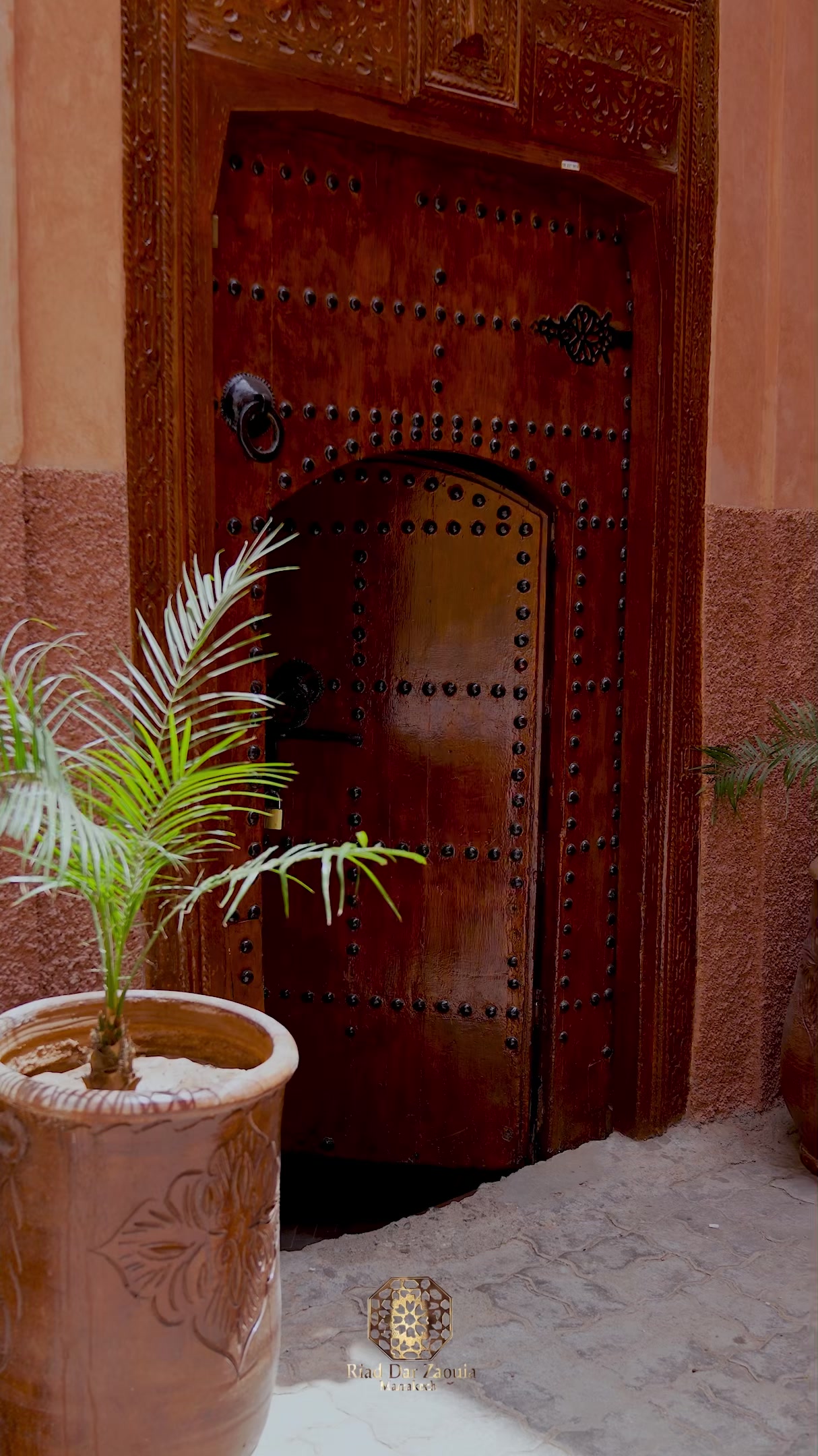 @Riad Dar Zaouia
